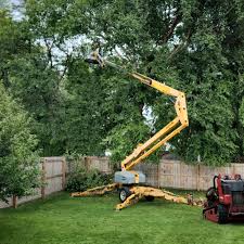 Best Stump Grinding and Removal  in Earlysville, VA