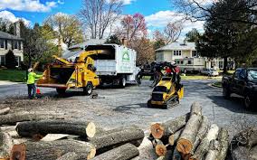 Best Organic Lawn Care Solutions  in Earlysville, VA