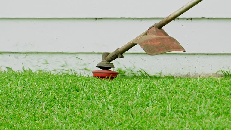 Best Tree and Shrub Care  in Earlysville, VA