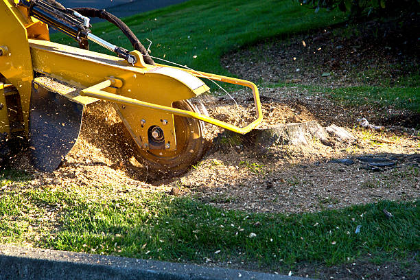 Soil Testing and Treatment in Earlysville, VA
